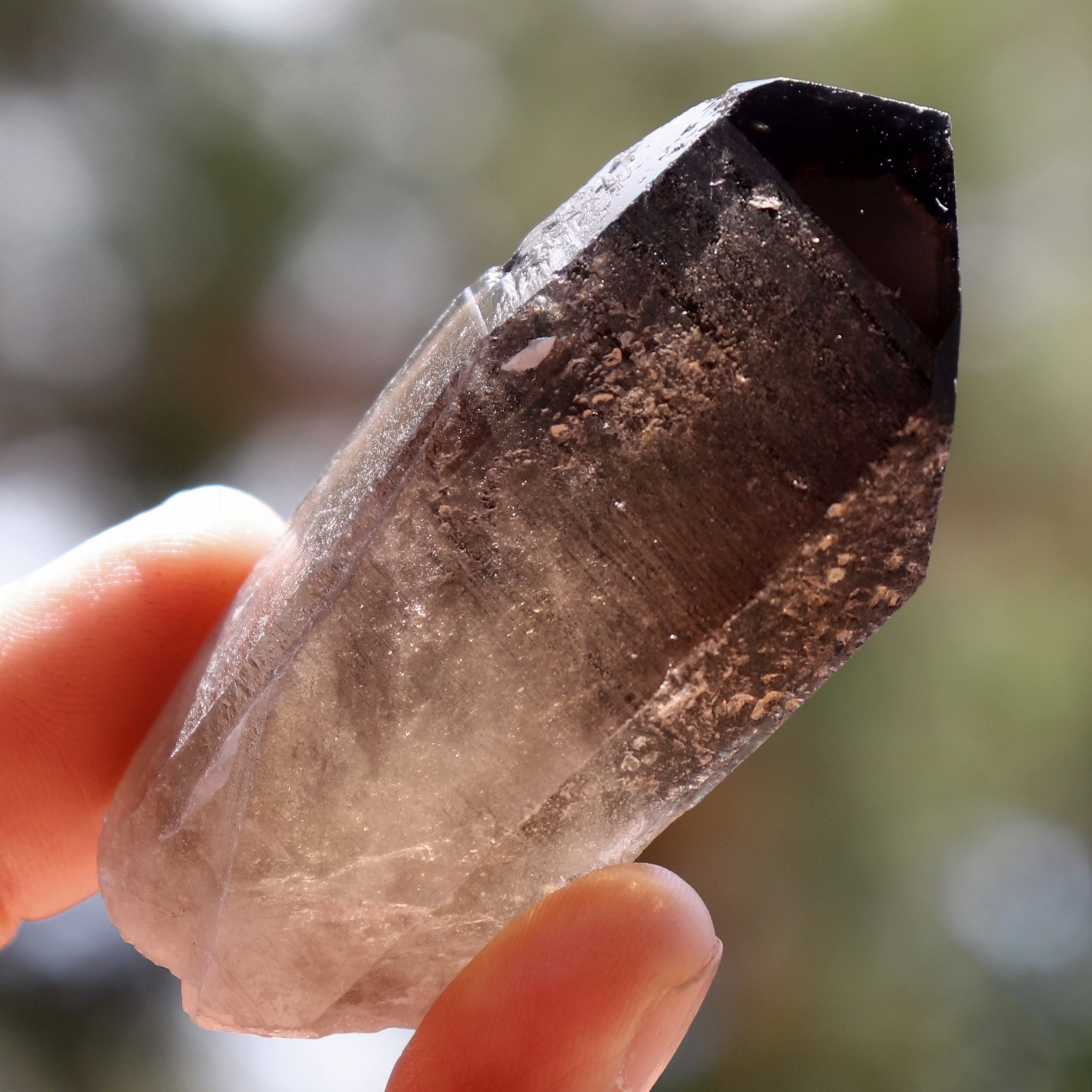 煙水晶（スモーキー・クォーツ） | 鉱物：か | SMQ13 煙水晶 | Crystal